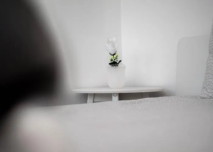 Let The Sun In - Walking To The By Algarve Dream Holidays Apartment